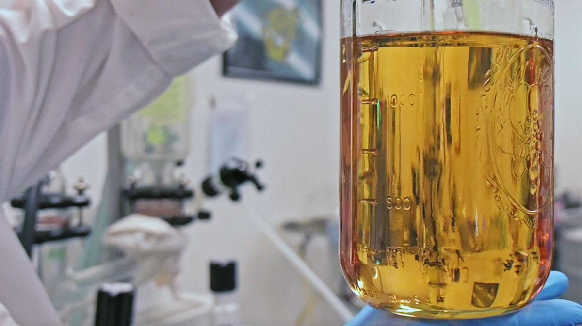 What Do Cannabis Labs Do? 