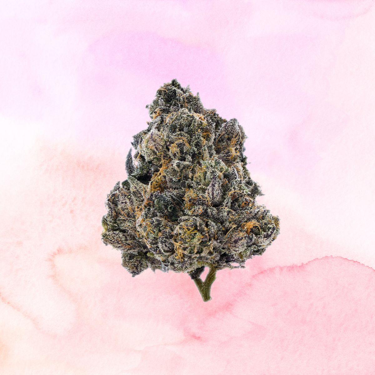 Gift Guide MÜV Flower