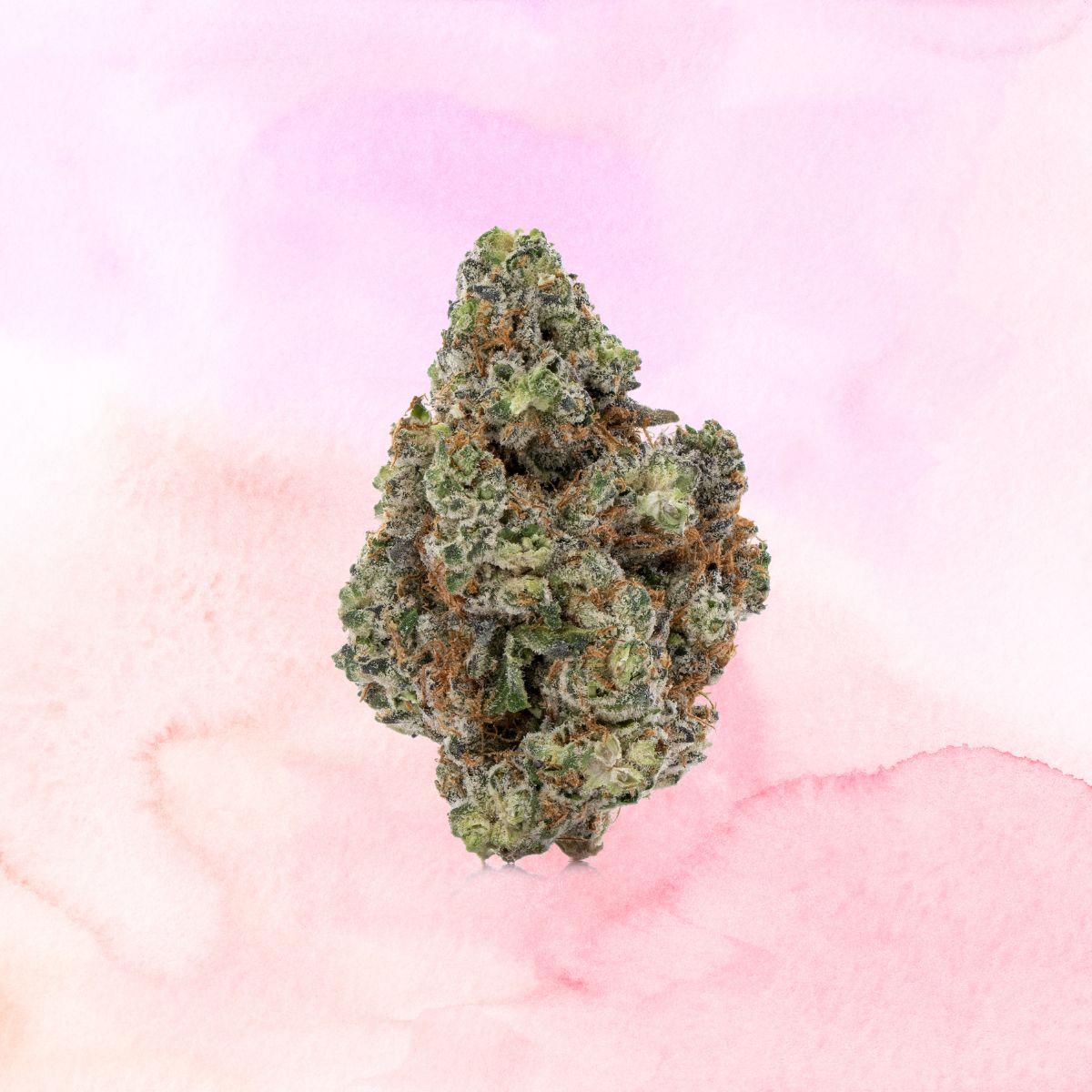 Gift Guide The Essence Flower